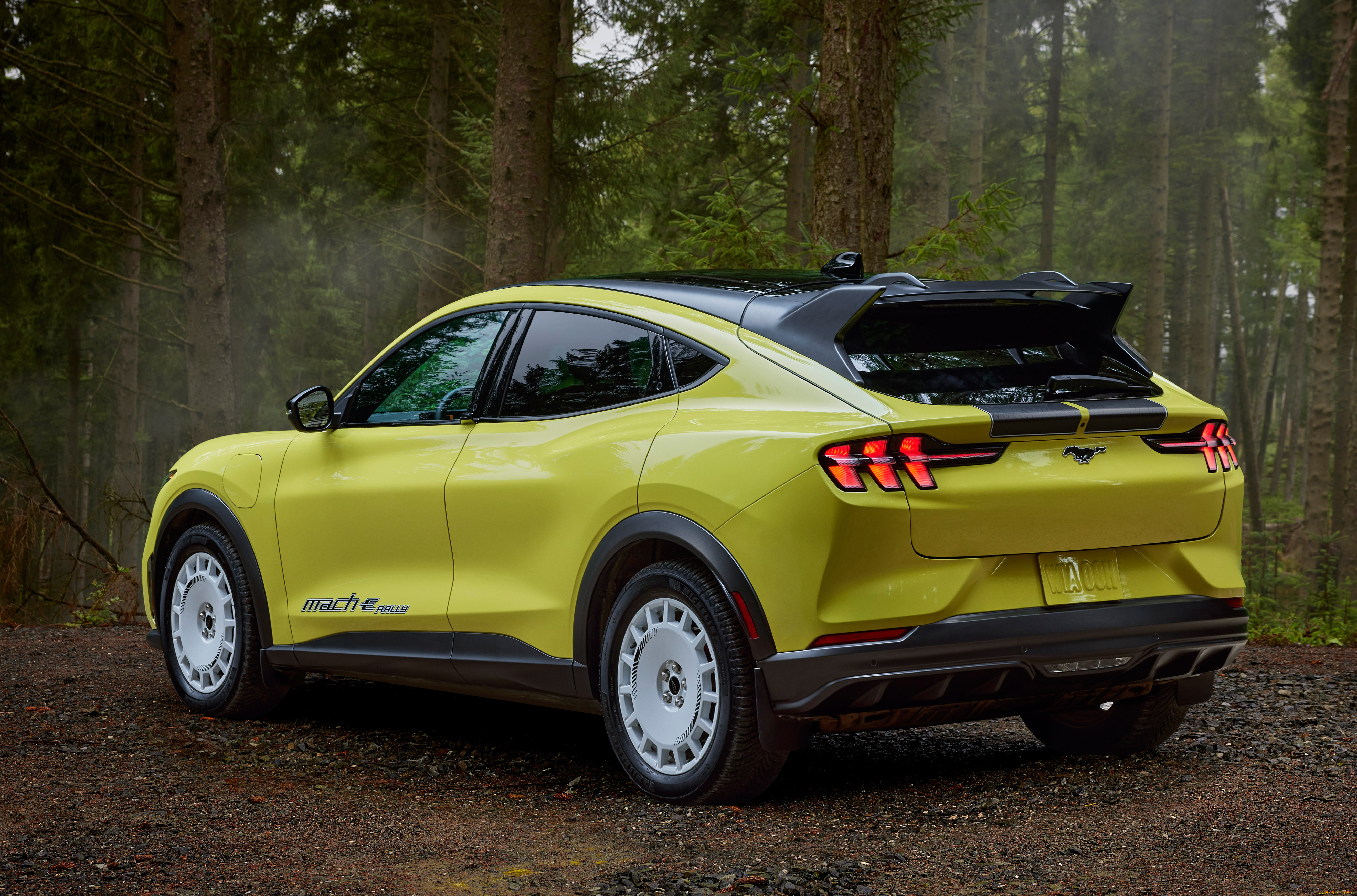, ford, mustang